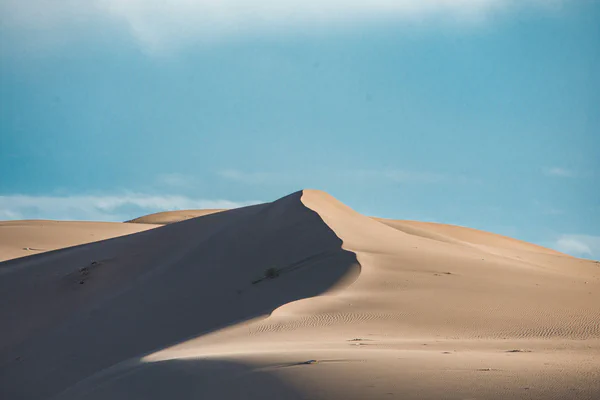 photographs/_DSC4293 (1).jpg