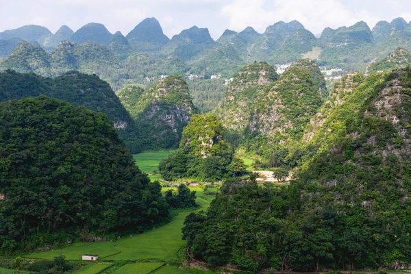 photographs/_DSC7400 (1).jpg