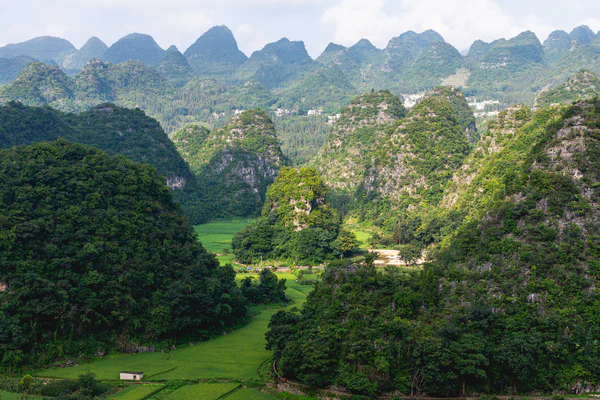 photographs/_DSC7400 (1).jpg